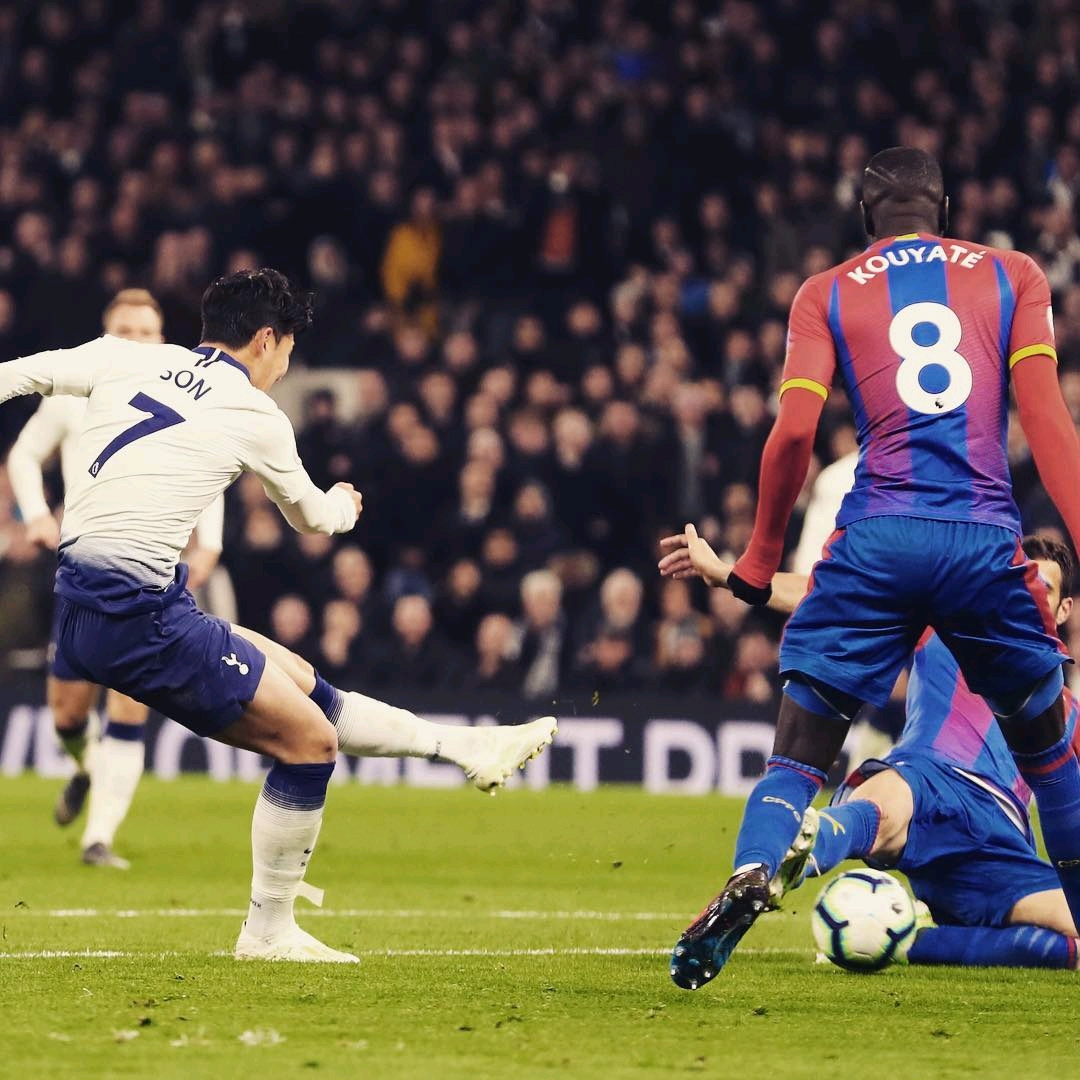 也展示了科 也展示了科