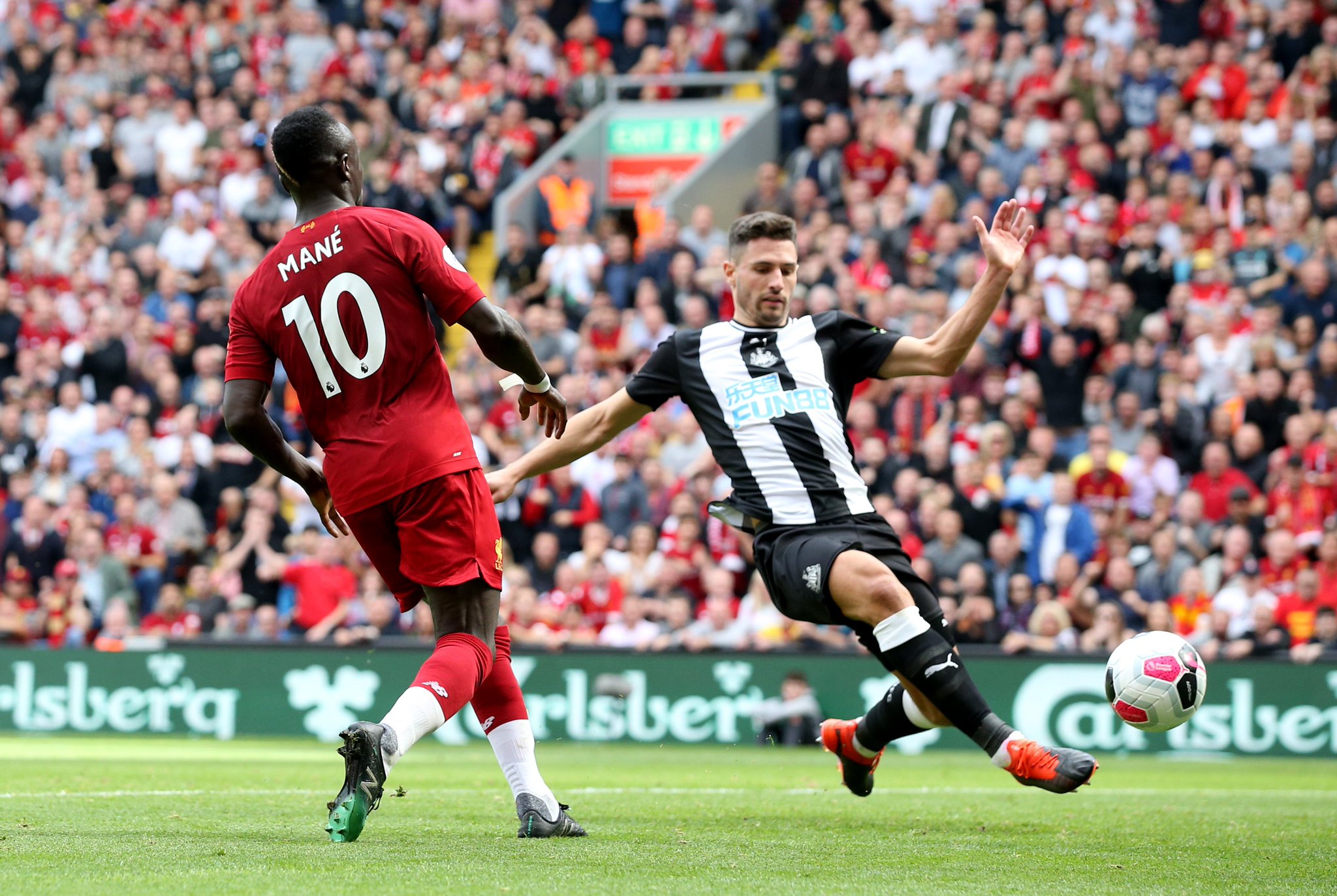 和强调年轻 和强调年轻